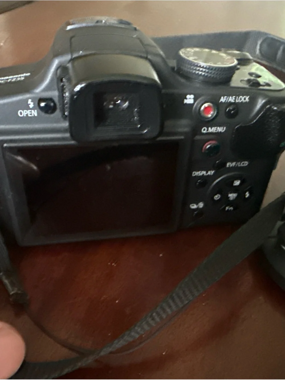 Panasonic compact bridge